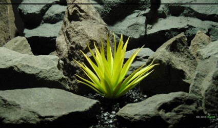 AGAVE (YLW/GRN) Artificial Agave Succulent (YLW_GRN) - Reptile Desert Plant PRS459