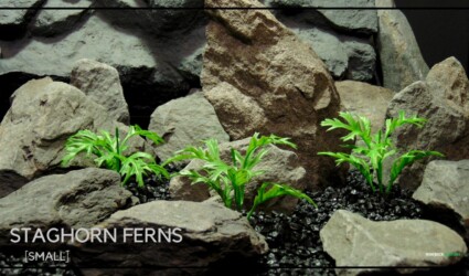 SMALL STAGHORN FERNS Title Group 3 - Artificial Staghorn Ferns Plastic - Ron Beck Designs - PARP474