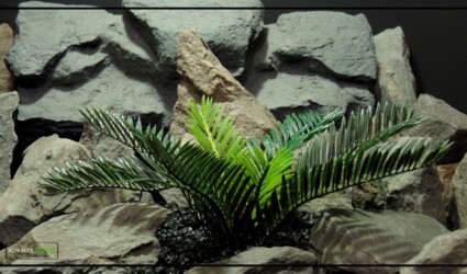 SAGO PALM Artificial Sago Palm - Reptile Terrarium Plant prp482