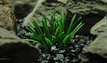 Artificial Miniature Grass Bloom - Ron Beck Designs -PARP487 3