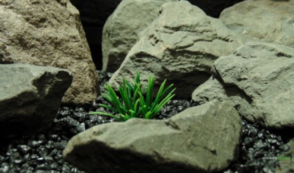 Artificial Miniature Grass Bloom - Ron Beck Designs -PARP487