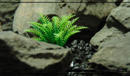 Artificial Miniature Spring Fern - Aquarium Reptile Plant - parp489 1