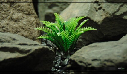 Artificial Miniature Spring Fern - Aquarium Reptile Plant - parp489 2