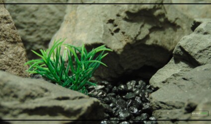 Design Portfolio Reptile Plants & Succulents 7 Artificial Miniature Spring Grass | Aquarium Reptile Plant parp488 3