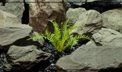 LIGHT GREEN 'REAL TOUCH' FERN Artificial Light Green Fern - Reptile Terrarium Vivarium Plant prp506