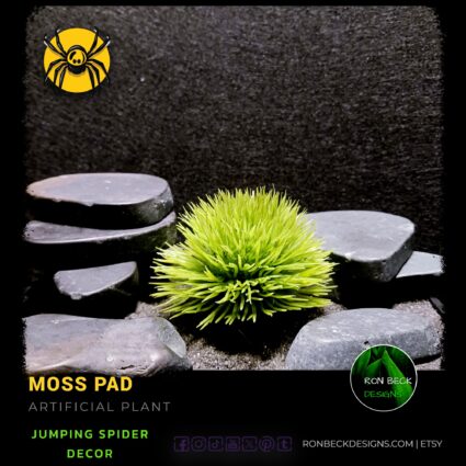Artificial Moss Pad Jumping Spider Decor Plant JS585 m