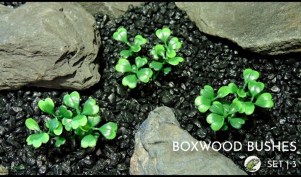 Artificial Boxwood Bushes - Reptile Plant - prp615 2