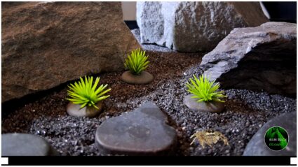 Artificial Mini Pine Bushes on pebbles - Jumping Spider decor JS607 2