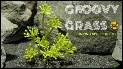 Mini Groovy Grass Artificial Jumping Spider Decor js617 t