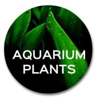 artificial plants | artificial aquarium decor plants product catagory