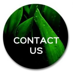 contact us | email ron beck designs