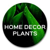 artificial plants home decor plants and greenery product catagory