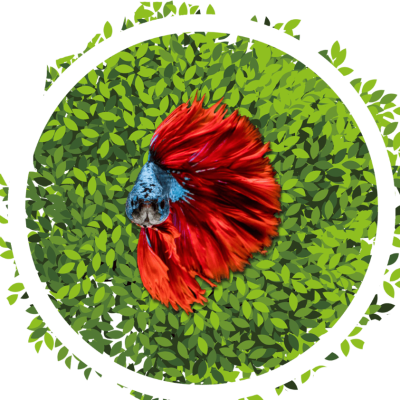 Artificial Plants | Artificial Aquarium Plants | Ron Beck Designs