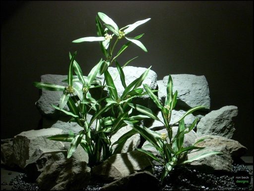 silk aquarium plant dracena greens sarp123 from ron beck designs